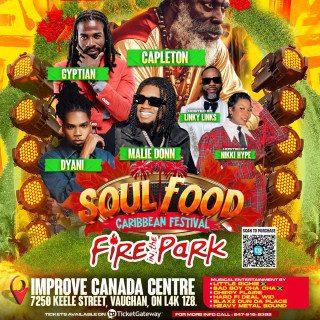 Soul Food Caribbean Festival: Fire In The Park 
