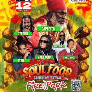 Fire in the park (resell! Cheaper!!) 